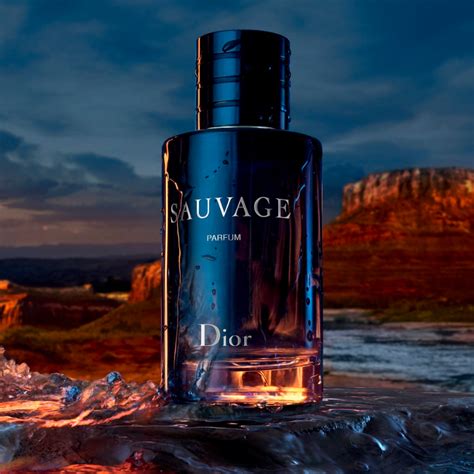 dior sauvage men reviews|best version of dior sauvage.